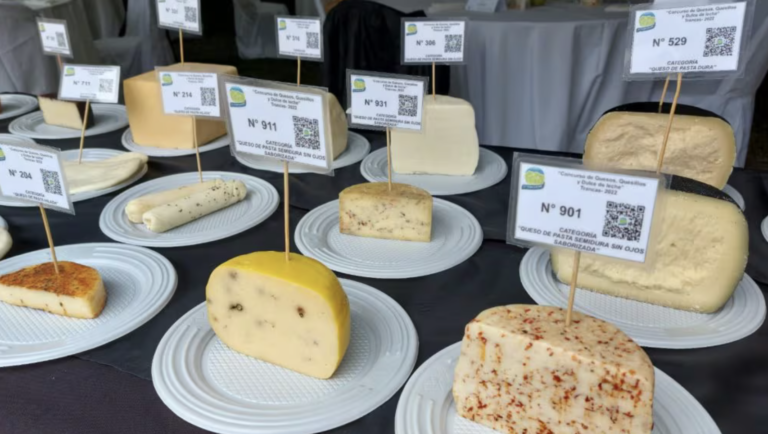 Quesos cordobeses premiados en Chile